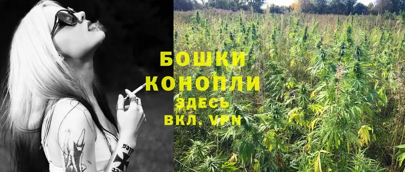 Шишки марихуана LSD WEED  Покров 